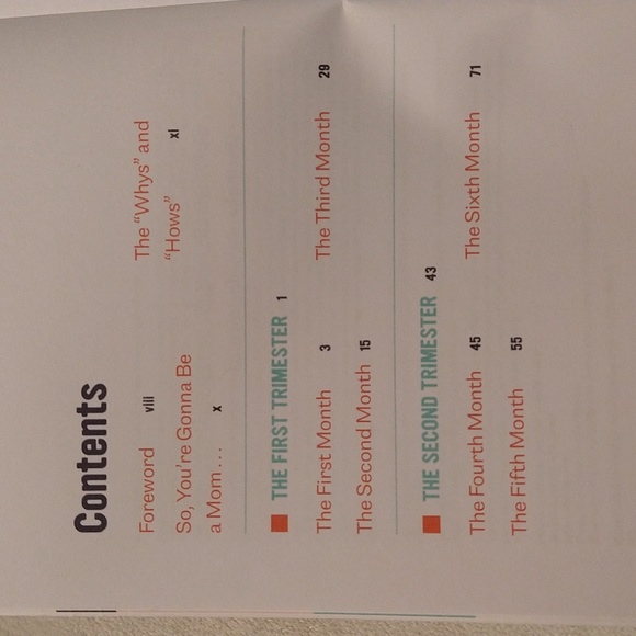 The First Time Pregnancy Handbook - Picture 4 of 9